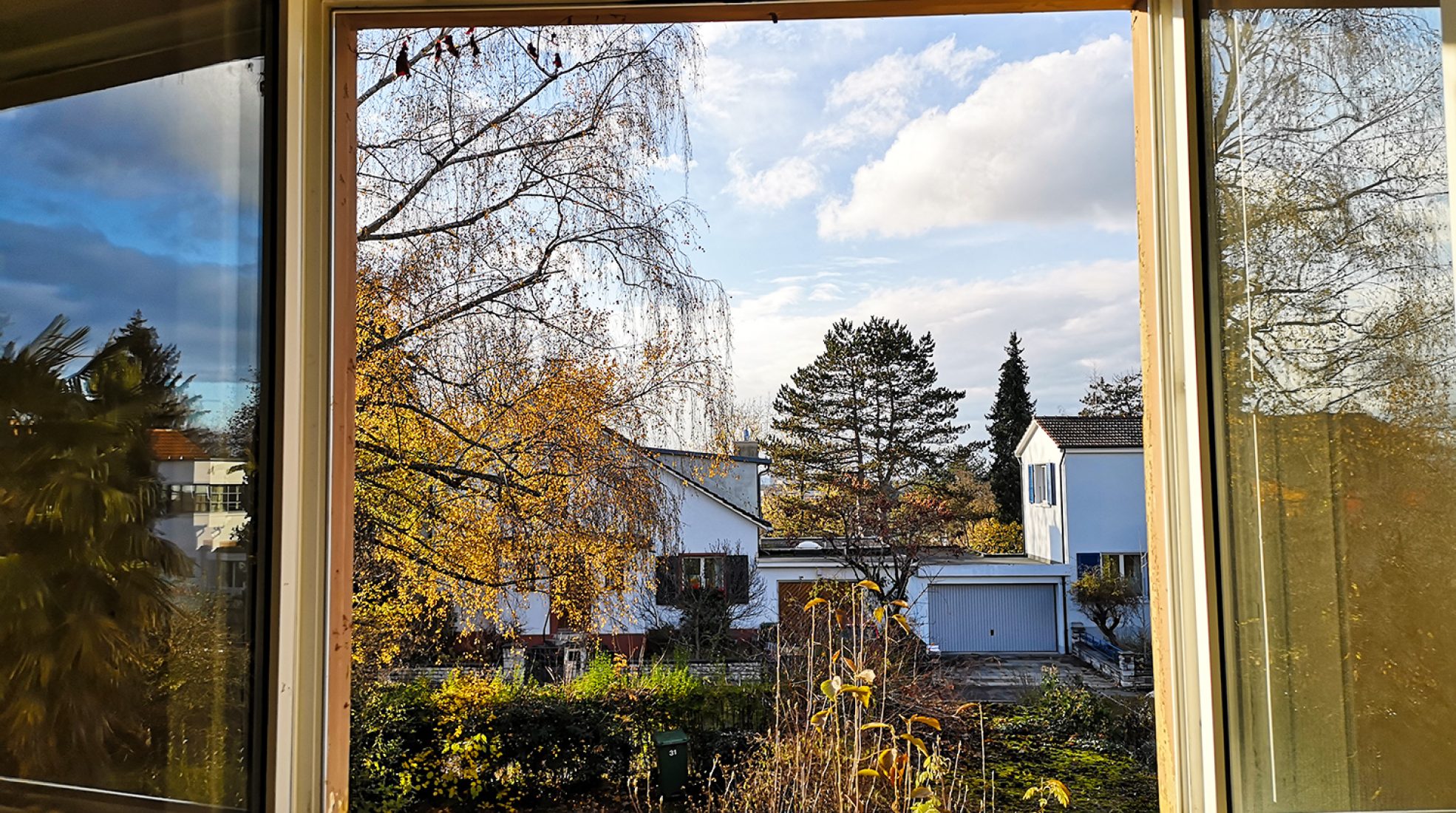 aussicht (1)