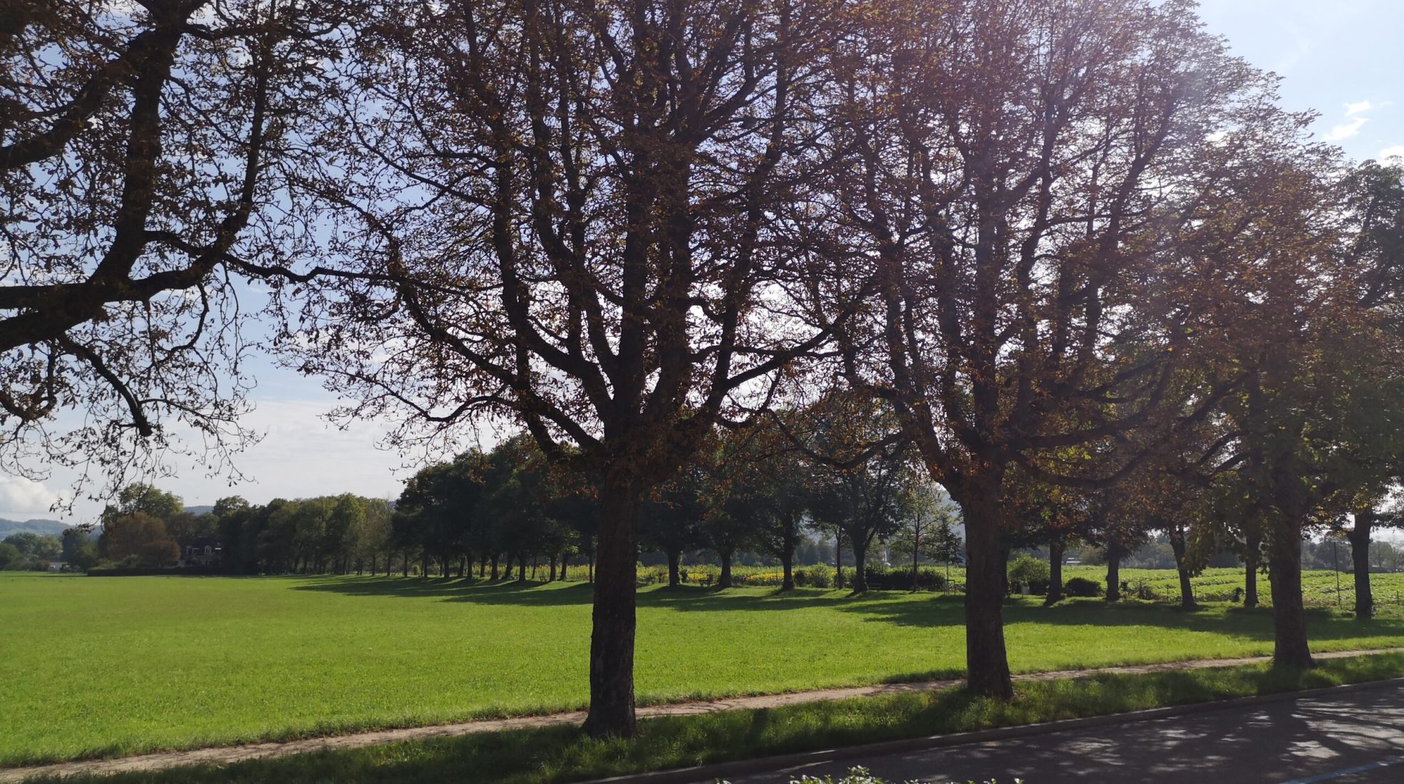 aussicht_2
