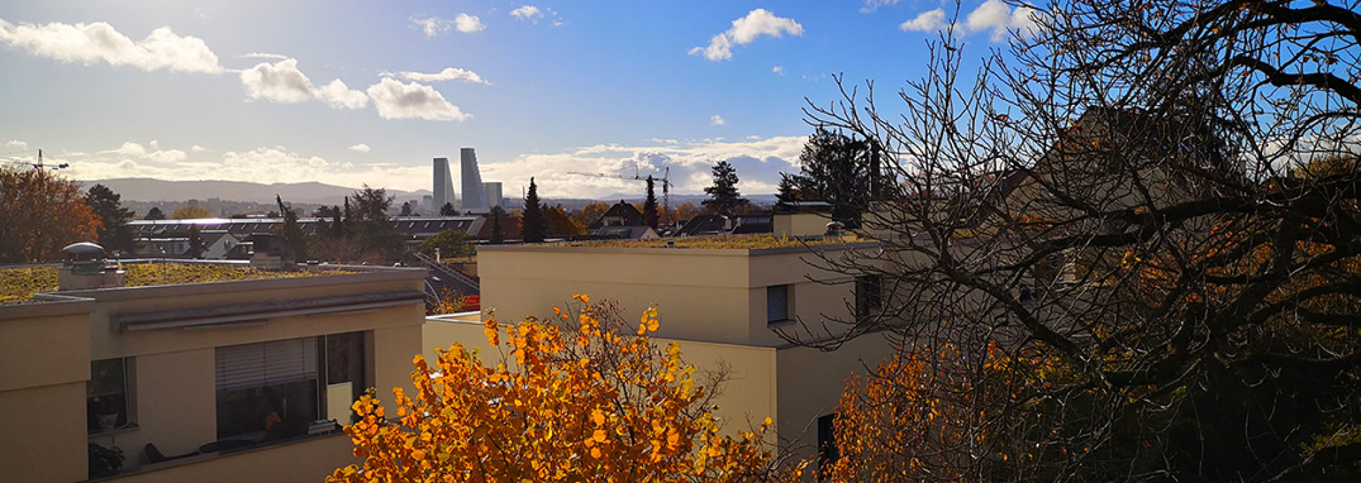 aussicht_basel