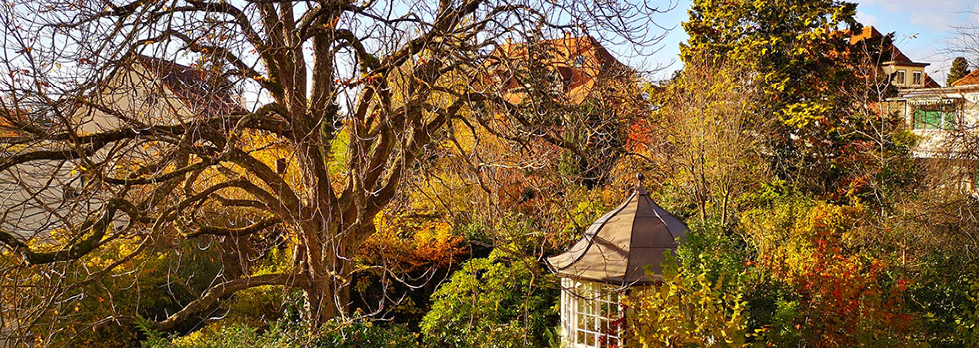 aussicht_garten