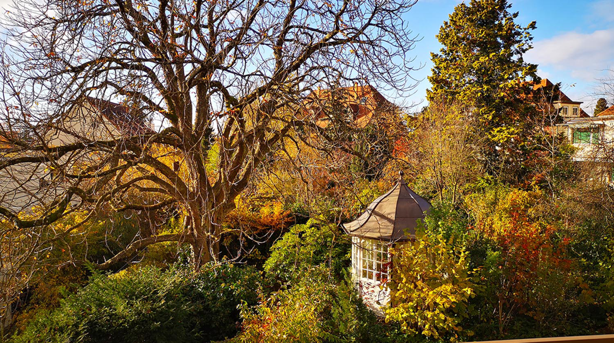 aussicht_garten
