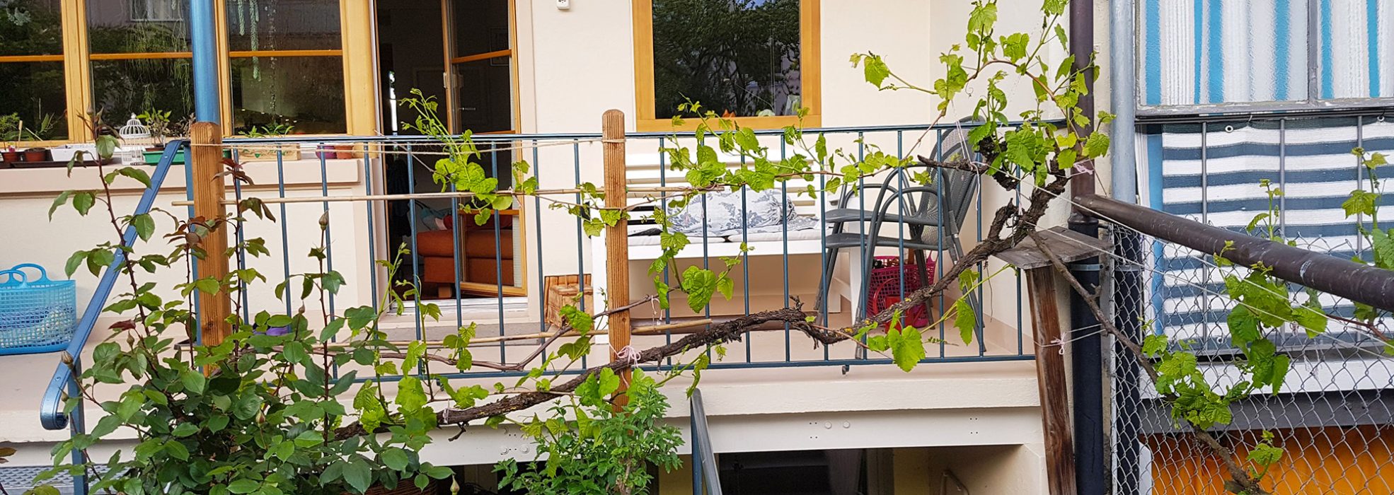 loggia